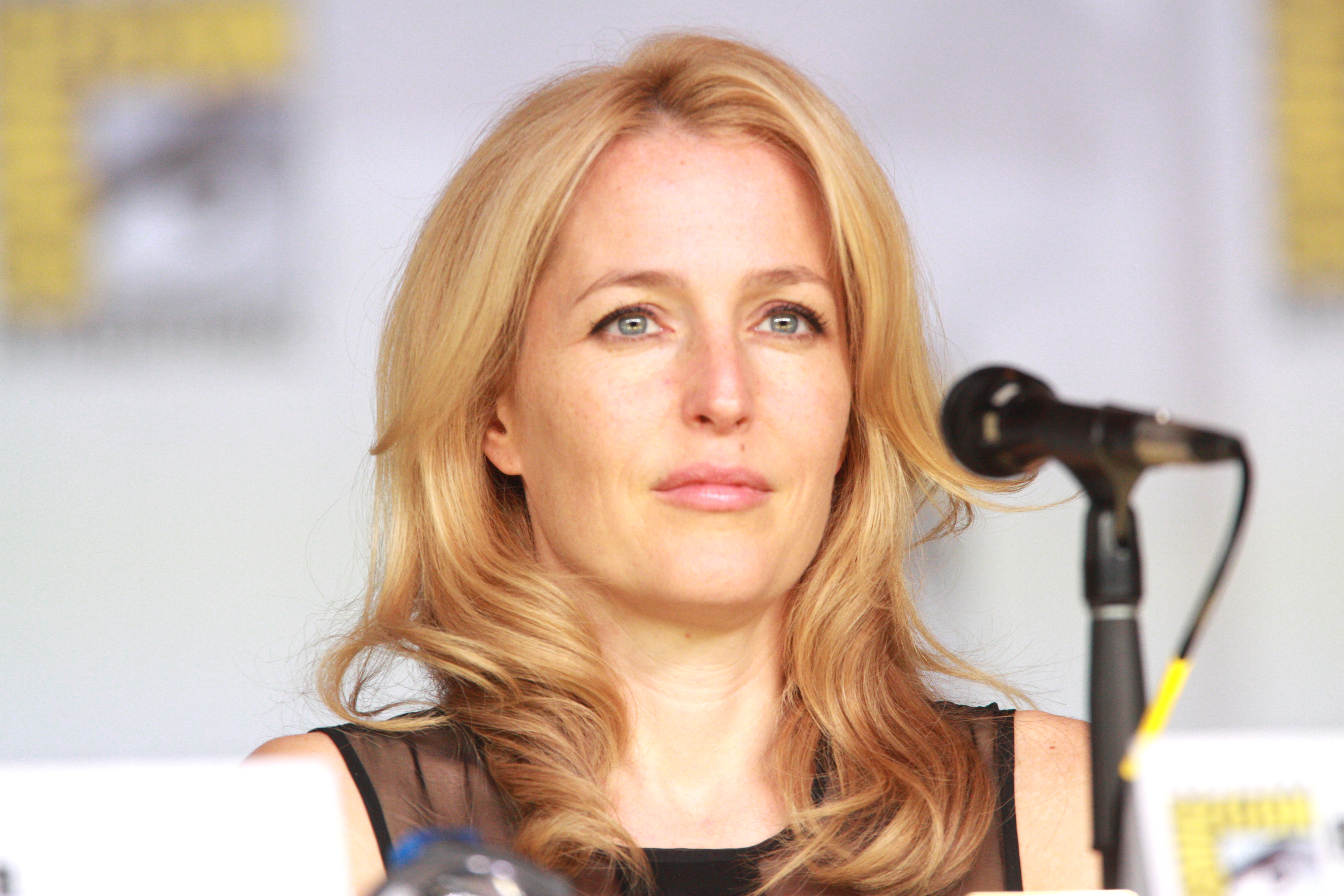 Gillian Anderson 381